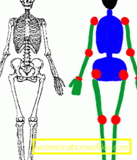 Зображення фігури на основі будови скелета